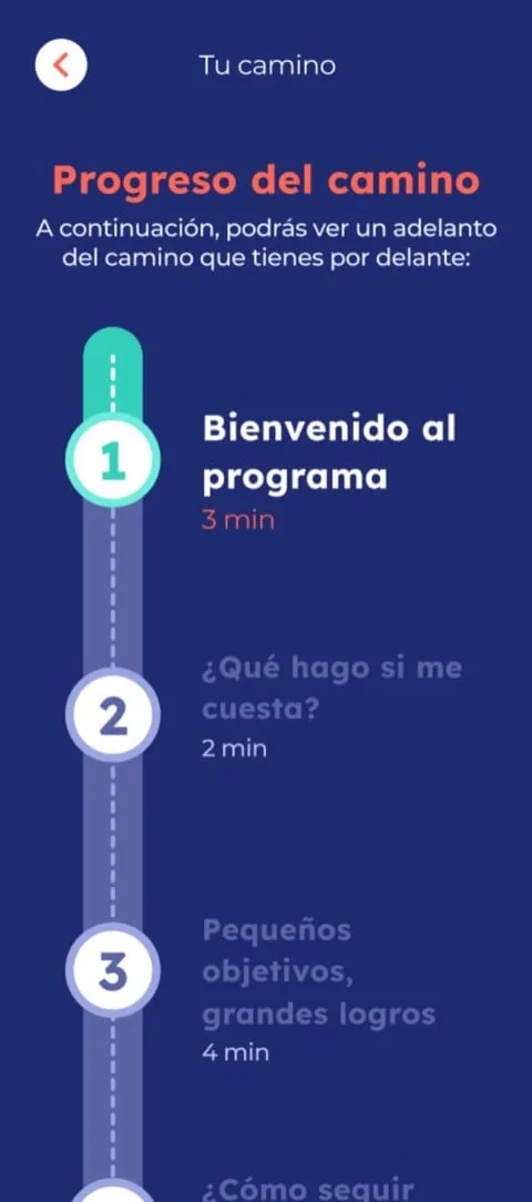 Progreso del camino educativo